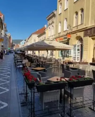 Apartment Republicii Premium